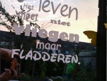 spiegels met tekst
