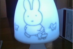Lamp met naam en afbeelding