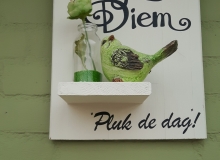 Carpe diem